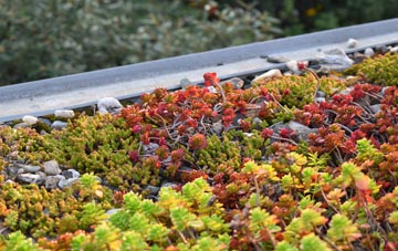 the cost of Hazel End green roof installation